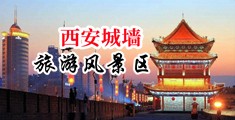 www.操美女中国陕西-西安城墙旅游风景区